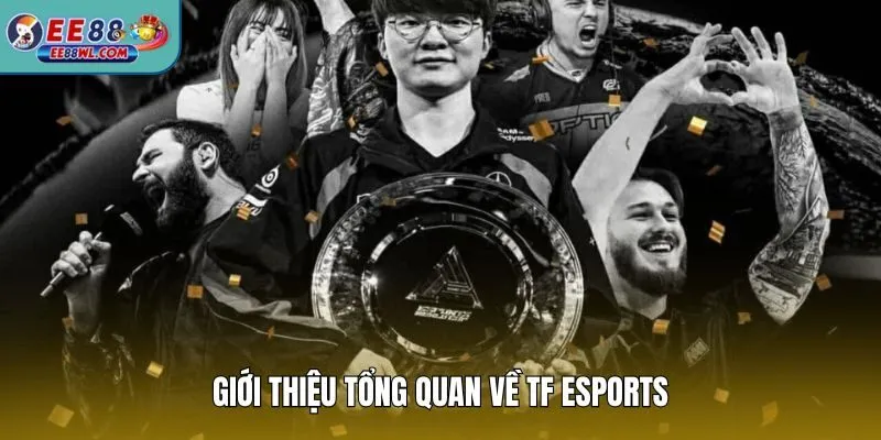 Giới thiệu tổng quan về TF Esports